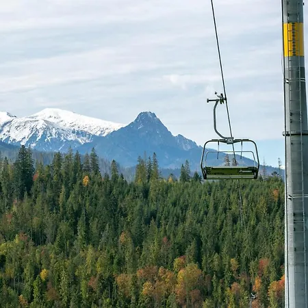 Górski Delux Domek alpejski Małe Ciche